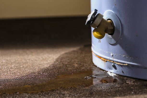 Best Mold removal after water damage  in Pen Mar, PA