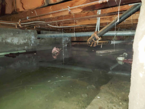 Best 24-hour water damage restoration  in Pen Mar, PA