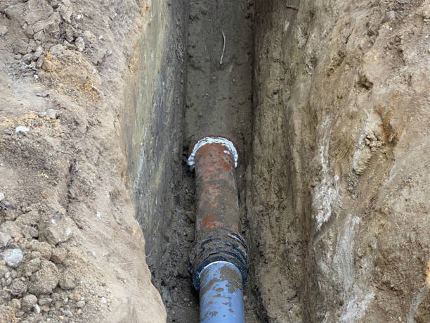 Best Professional water damage repair  in Pen Mar, PA