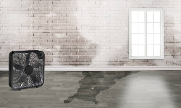 Best Fire Damage Restoration  in Pen Mar, PA