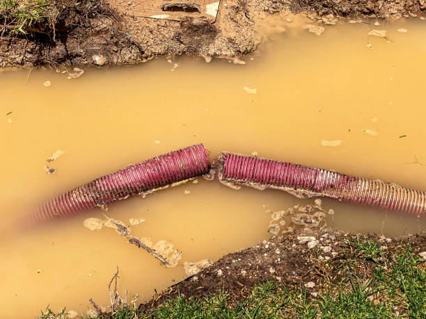Best Water damage restoration near me  in Pen Mar, PA